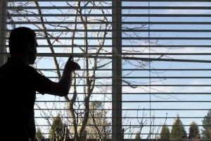 8921581-silhouette-of-a-man-looking-out-a-window-daydreaming-of-warmer-weather